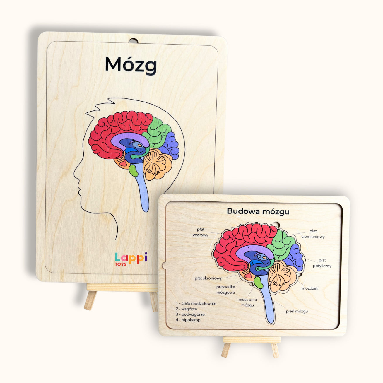 Organy i Narządy Człowieka STEM & Montessori - drewniane Układanki Edukacyjne