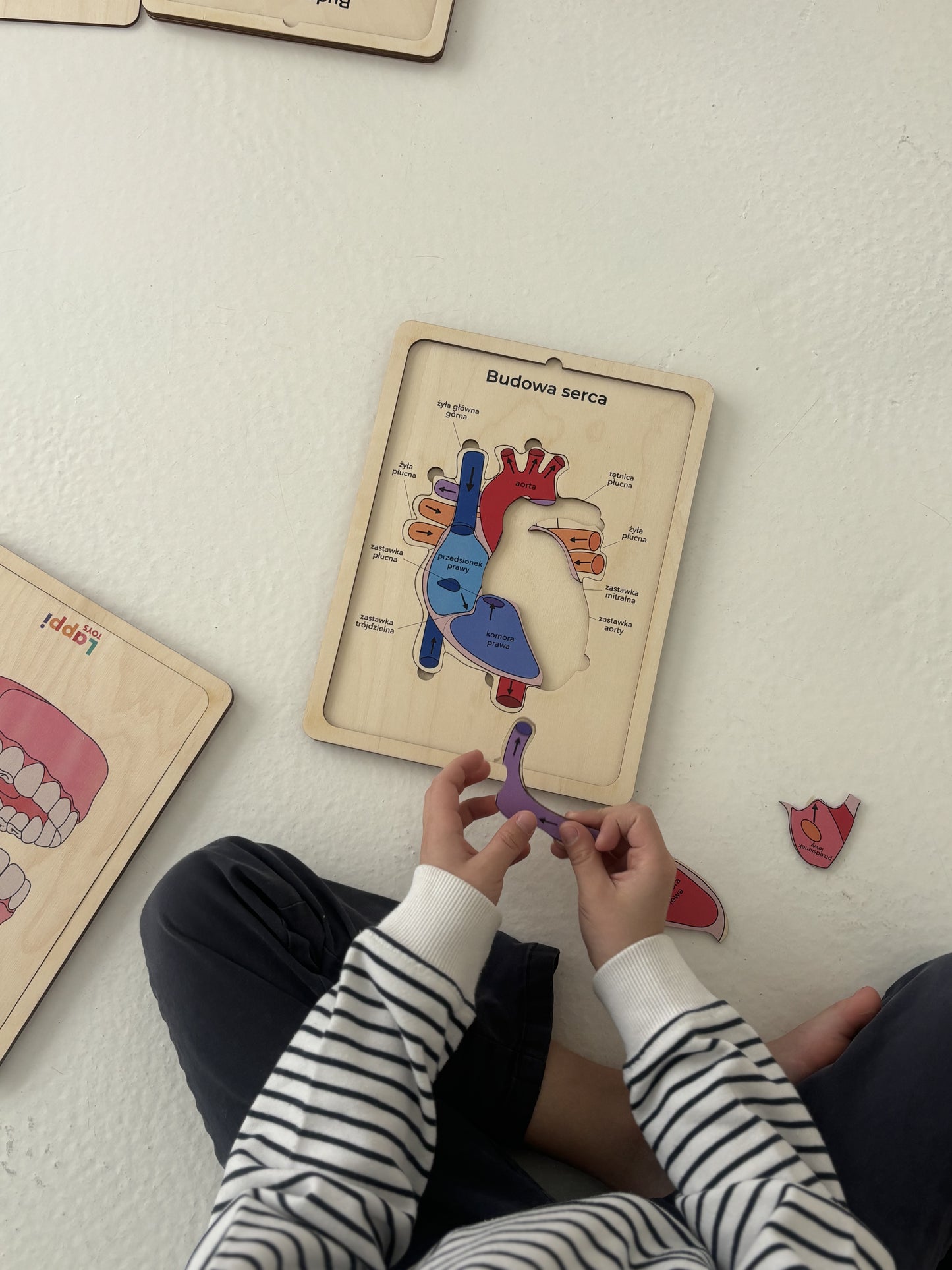 ✅ Drewniana układanka edukacyjna
✅ Puzzle z anatomią człowieka
✅ Nauka przez zabawę STEM
✅ Zabawki Montessori dla dzieci
✅ Edukacyjne zabawki drewniane
✅ Prezent dla dziecka 3+
✅ Zabawki do nauki biologii
✅ Pomoc dydaktyczna do szkół
✅ Układanka anatomiczna dla dzieci