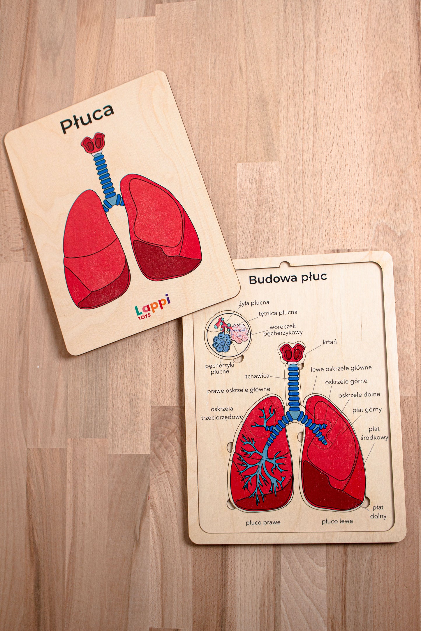 ✅ Drewniana układanka edukacyjna
✅ Puzzle z anatomią człowieka
✅ Nauka przez zabawę STEM
✅ Zabawki Montessori dla dzieci
✅ Edukacyjne zabawki drewniane
✅ Prezent dla dziecka 3+
✅ Zabawki do nauki biologii
✅ Pomoc dydaktyczna do szkół
✅ Układanka anatomiczna dla dzieci