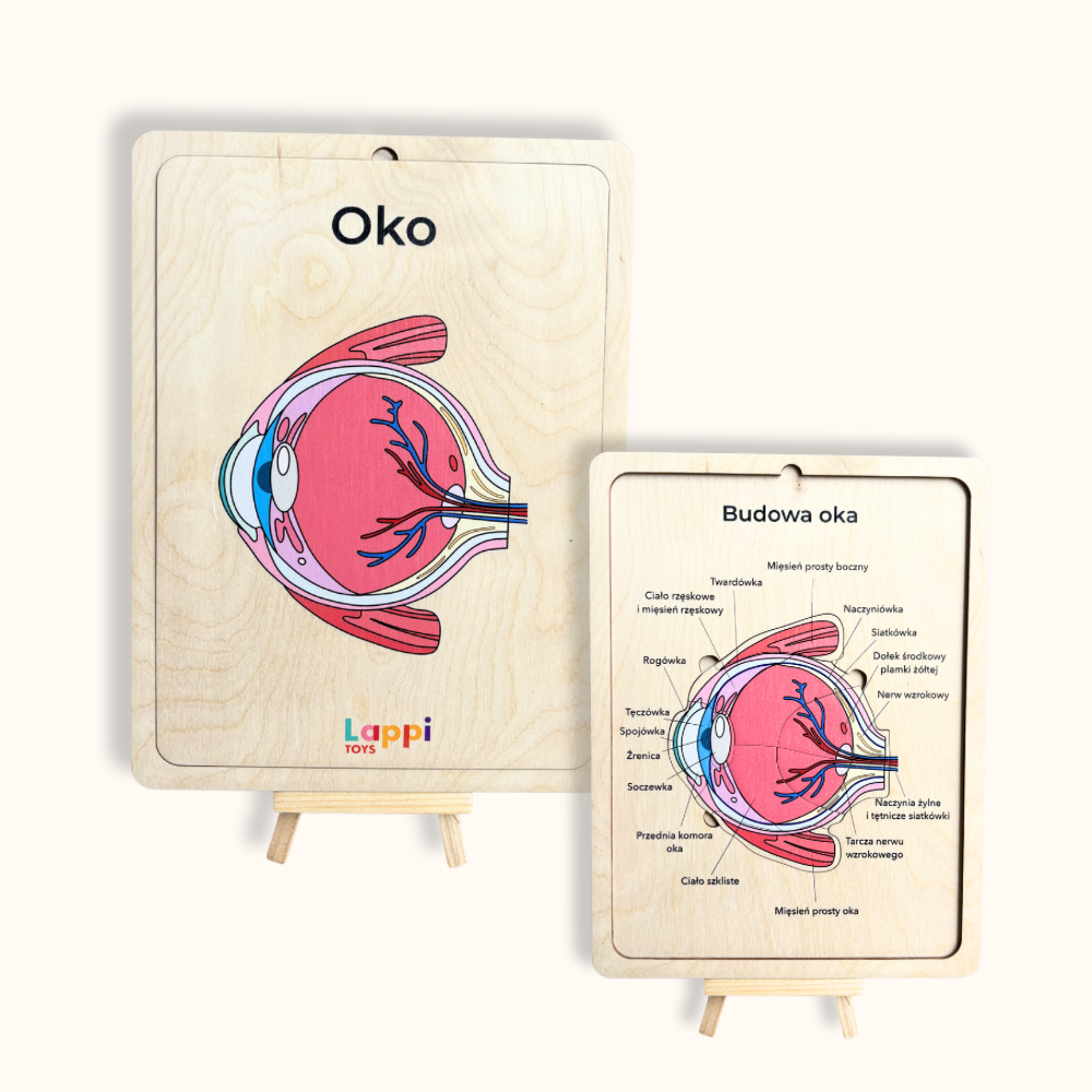 Organy i Narządy Człowieka STEM & Montessori - drewniane Układanki Edukacyjne