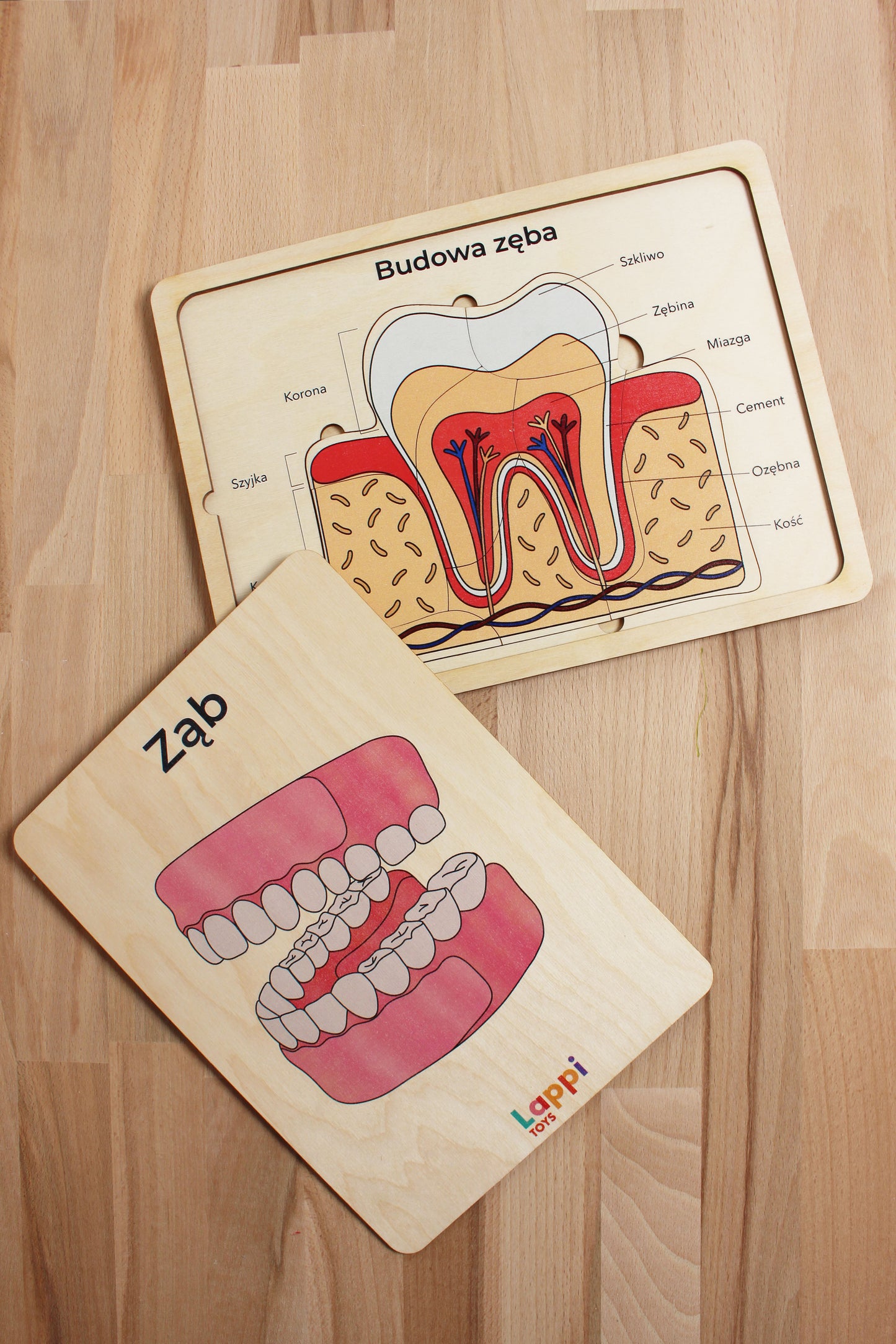 ✅ Drewniana układanka edukacyjna
✅ Puzzle z anatomią człowieka
✅ Nauka przez zabawę STEM
✅ Zabawki Montessori dla dzieci
✅ Edukacyjne zabawki drewniane
✅ Prezent dla dziecka 3+
✅ Zabawki do nauki biologii
✅ Pomoc dydaktyczna do szkół
✅ Układanka anatomiczna dla dzieci