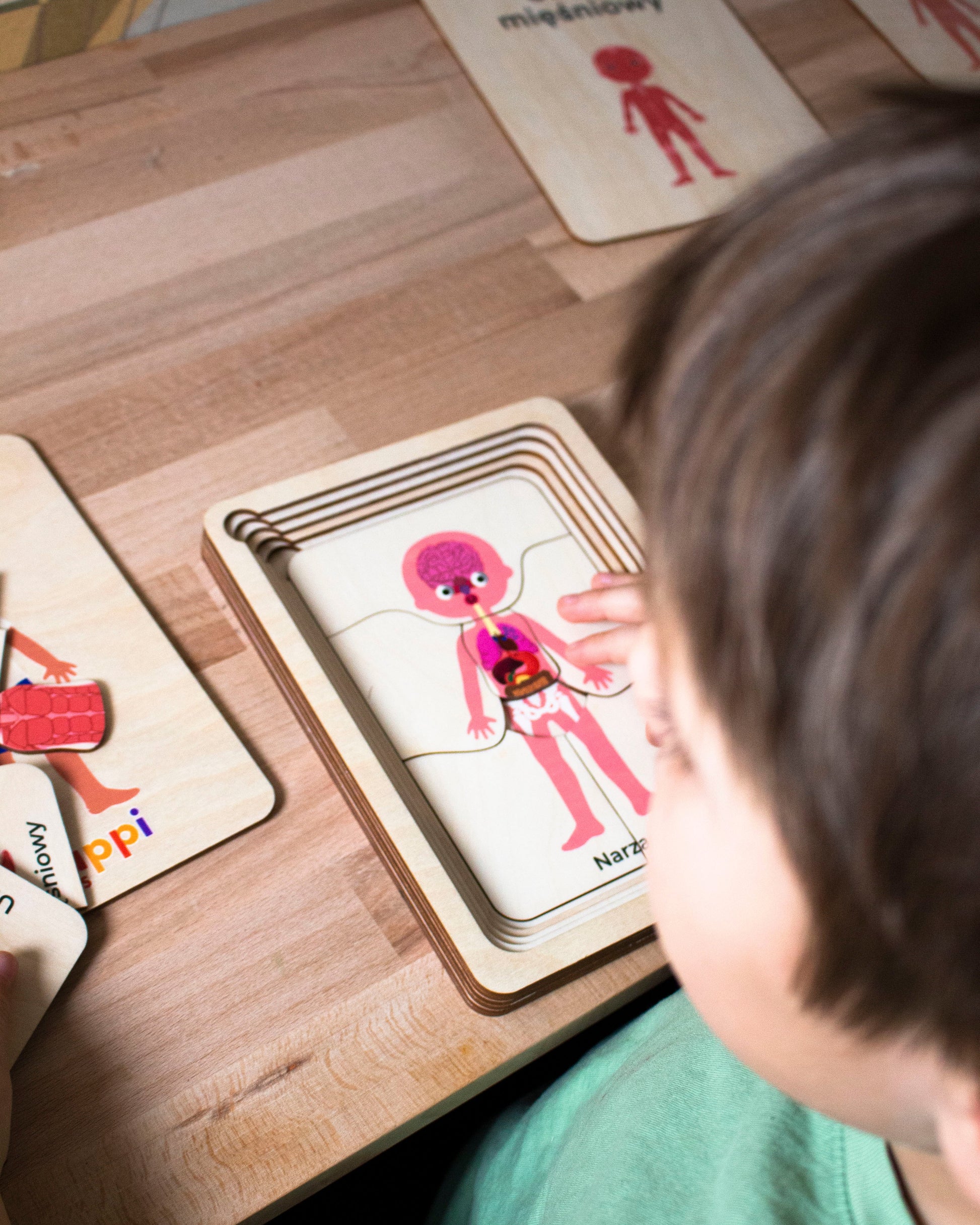 zabawki edukacyjne dla przedszkolaków
	•	nauka przez zabawę Montessori
	•	drewniane zabawki edukacyjne dla dzieci
	•	puzzle STEM dla dzieci
	•	pomoce dydaktyczne do przedszkola
	•	jak nauczyć dziecko anatomii
	•	drewniane układanki dla dzieci
	•	zabawki Montessori do nauki ciała człowieka