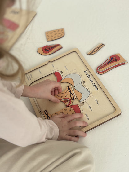✅ Drewniana układanka edukacyjna
✅ Puzzle z anatomią człowieka
✅ Nauka przez zabawę STEM
✅ Zabawki Montessori dla dzieci
✅ Edukacyjne zabawki drewniane
✅ Prezent dla dziecka 3+
✅ Zabawki do nauki biologii
✅ Pomoc dydaktyczna do szkół
✅ Układanka anatomiczna dla dzieci