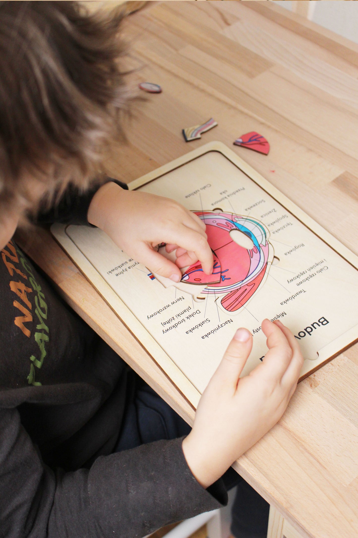 Dzięki metodzie STEM i Montessori, dziecko nie tylko poznaje budowę ludzkiego ciała, ale także rozwija koordynację ręka-oko, zdolności manualne, koncentrację oraz umiejętności analityczne.

✅ Dostępne w zestawie (5 sztuk) lub pojedynczo
✅ Dla dzieci od 3 lat – idealne dla przedszkolaków i uczniów szkół podstawowych
✅ Świetne narzędzie do nauki anatomii – do domu, przedszkoli i szkół